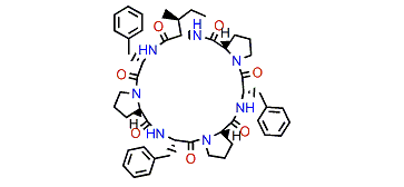 Euryjanicin G